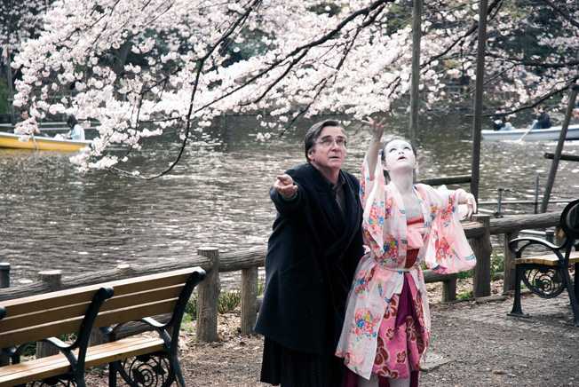 cherry blossoms movie review